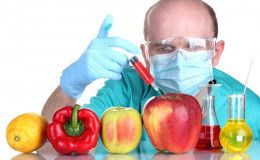 What are GMO foods: Learn about its effects on human health