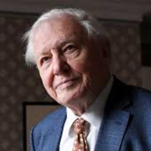 David Attenborough Biography Wiki Bio Age Height Net Worth Married Wife Children