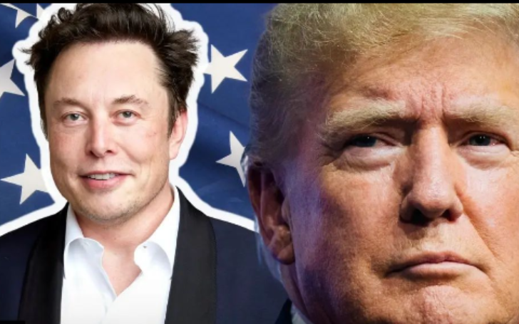 Elon Musk Uses Twitter Poll to Decide Donald Trump's Twitter Return